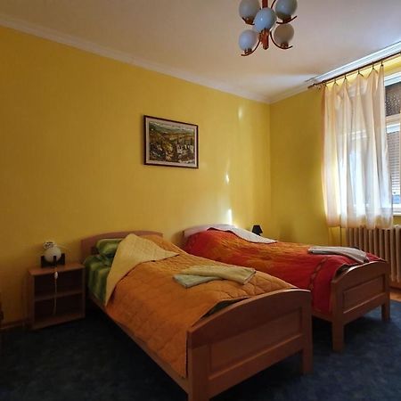 Apartment Roxana Novi Sad Buitenkant foto